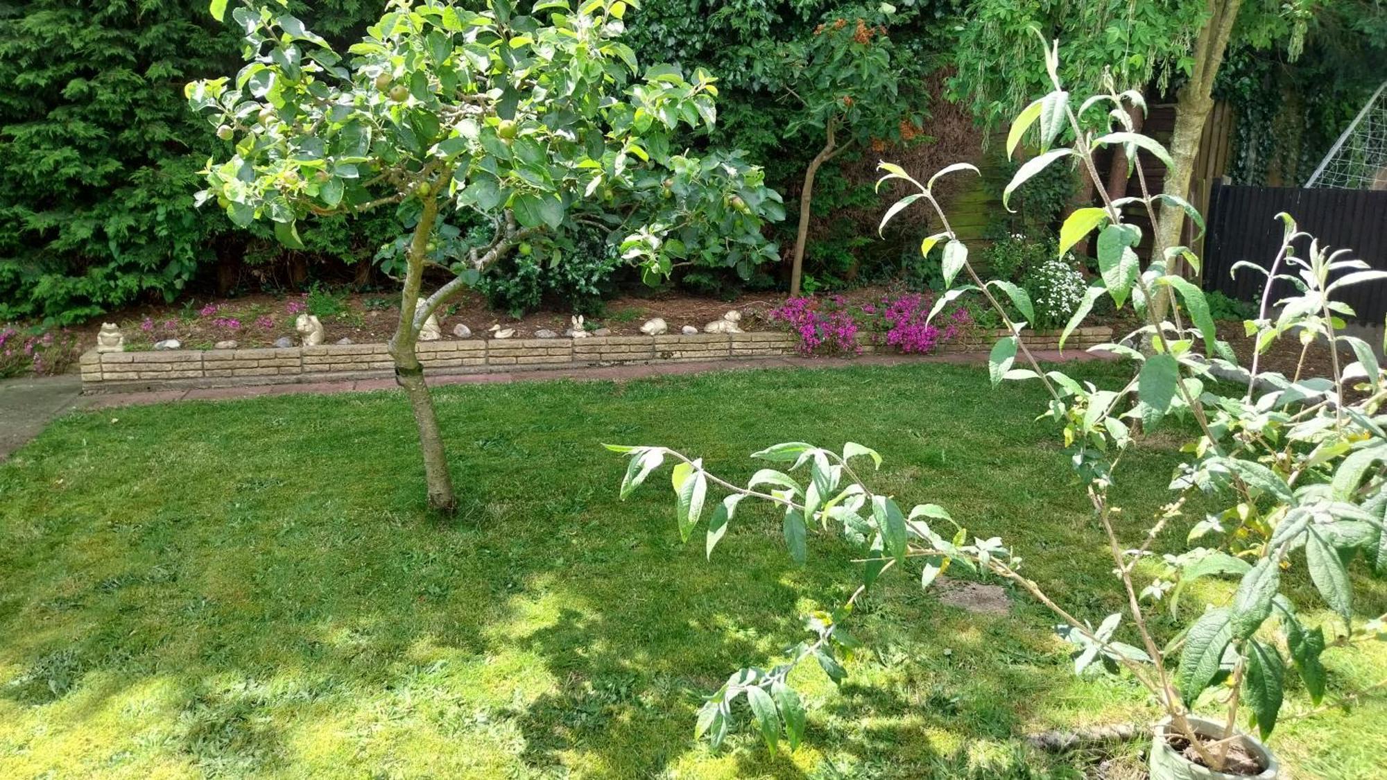 Beautiful 3-Bed Bungalow Kessingland Rural Retreat Lowestoft Exterior foto